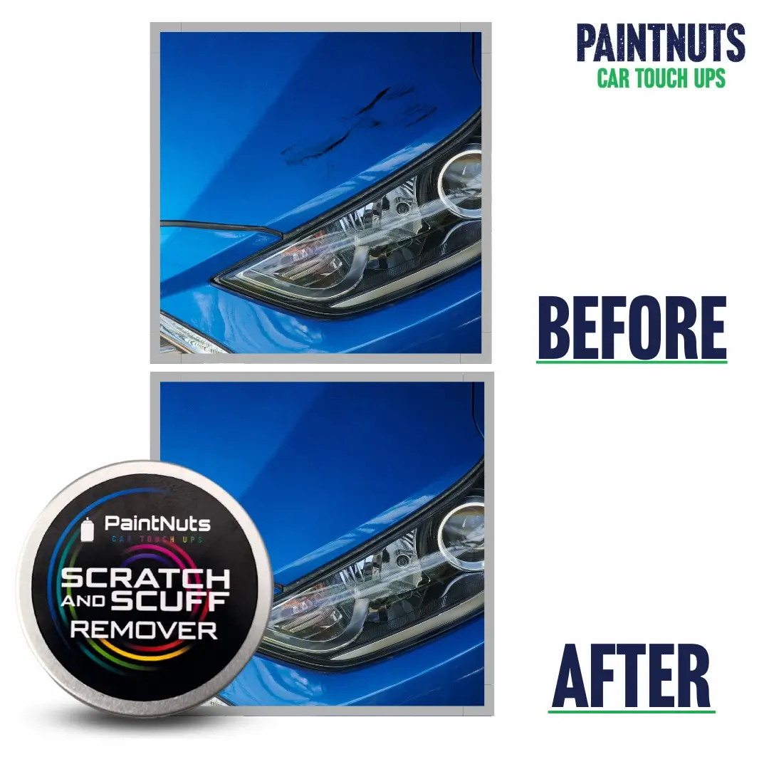 PaintNuts Scratch & Scuff Remover